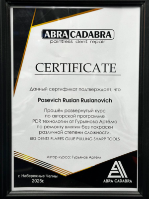 Курс авторской программы PDR технологии